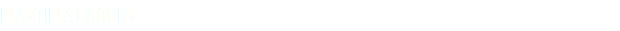 PLANTILLA GAITORS
