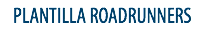 PLANTILLA ROADRUNNERS