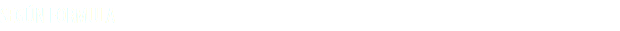 SEGÚN FORMULA